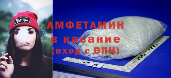сатива Покачи