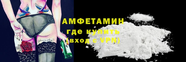 сатива Покачи