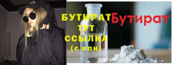 сатива Покачи