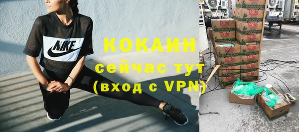 сатива Покачи
