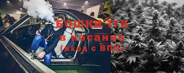 сатива Покачи