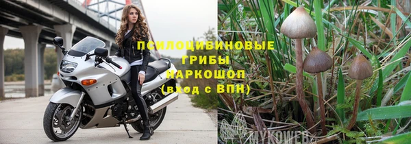 сатива Покачи