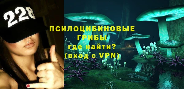 сатива Покачи