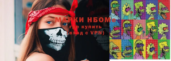 сатива Покачи