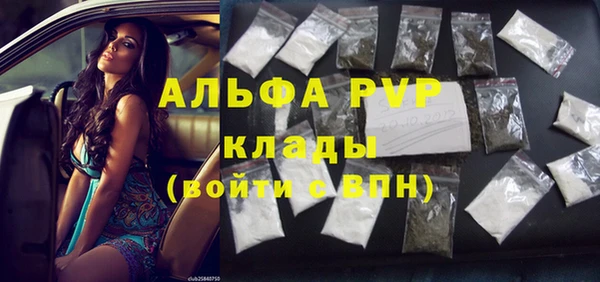 сатива Покачи