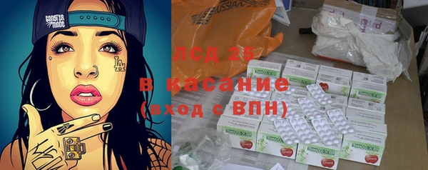 сатива Покачи